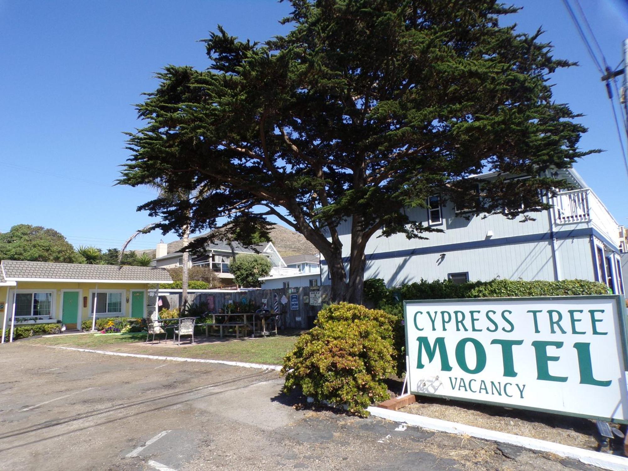 Cypress Tree Motel Cayucos Eksteriør bilde